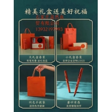 凌美lamy鋼筆新款磨砂綠橙禮盒套裝德國(guó)正品狩獵者”，顏色分類(lèi)（磨砂橙墨水套盒）