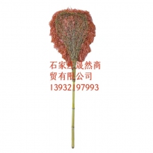 大掃把