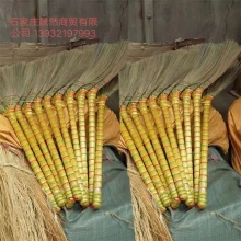 掃帚