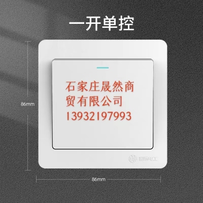 墻壁開(kāi)關(guān) 單開(kāi)  10個(gè)/裝