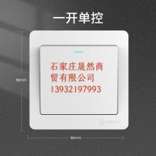墻壁開(kāi)關(guān) 單開(kāi)  10個(gè)/裝