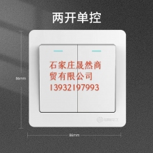 墻壁開關(guān) 雙開 10個裝